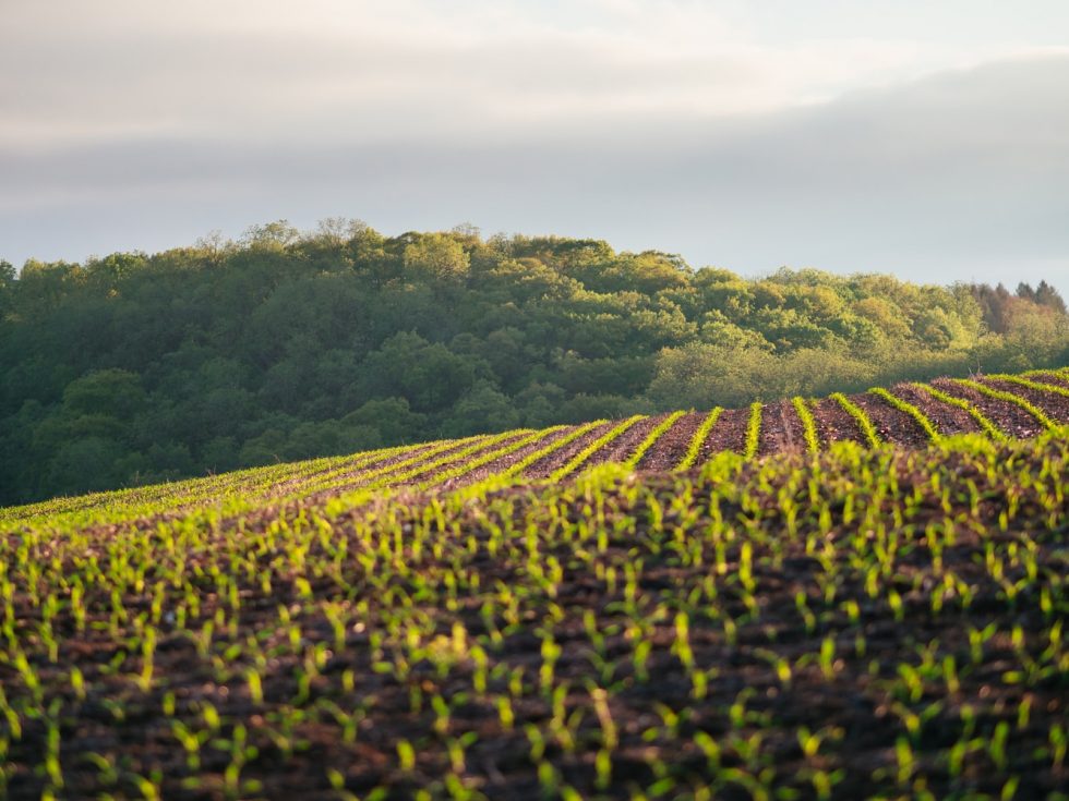 5 Tips For Crop Optimisation