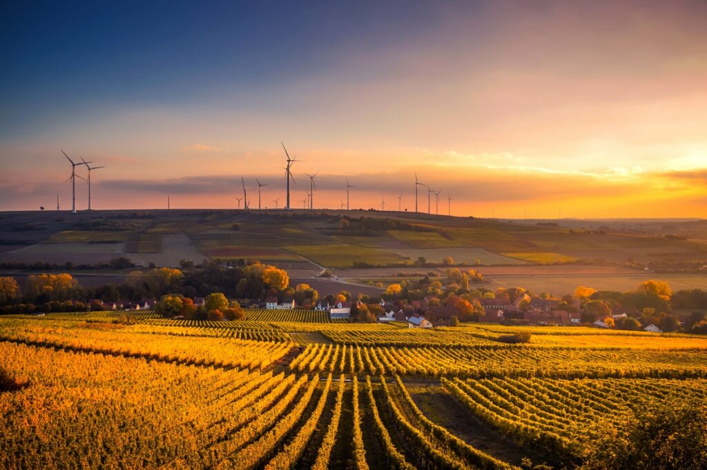A Complete Guide To Sustainable Agriculture