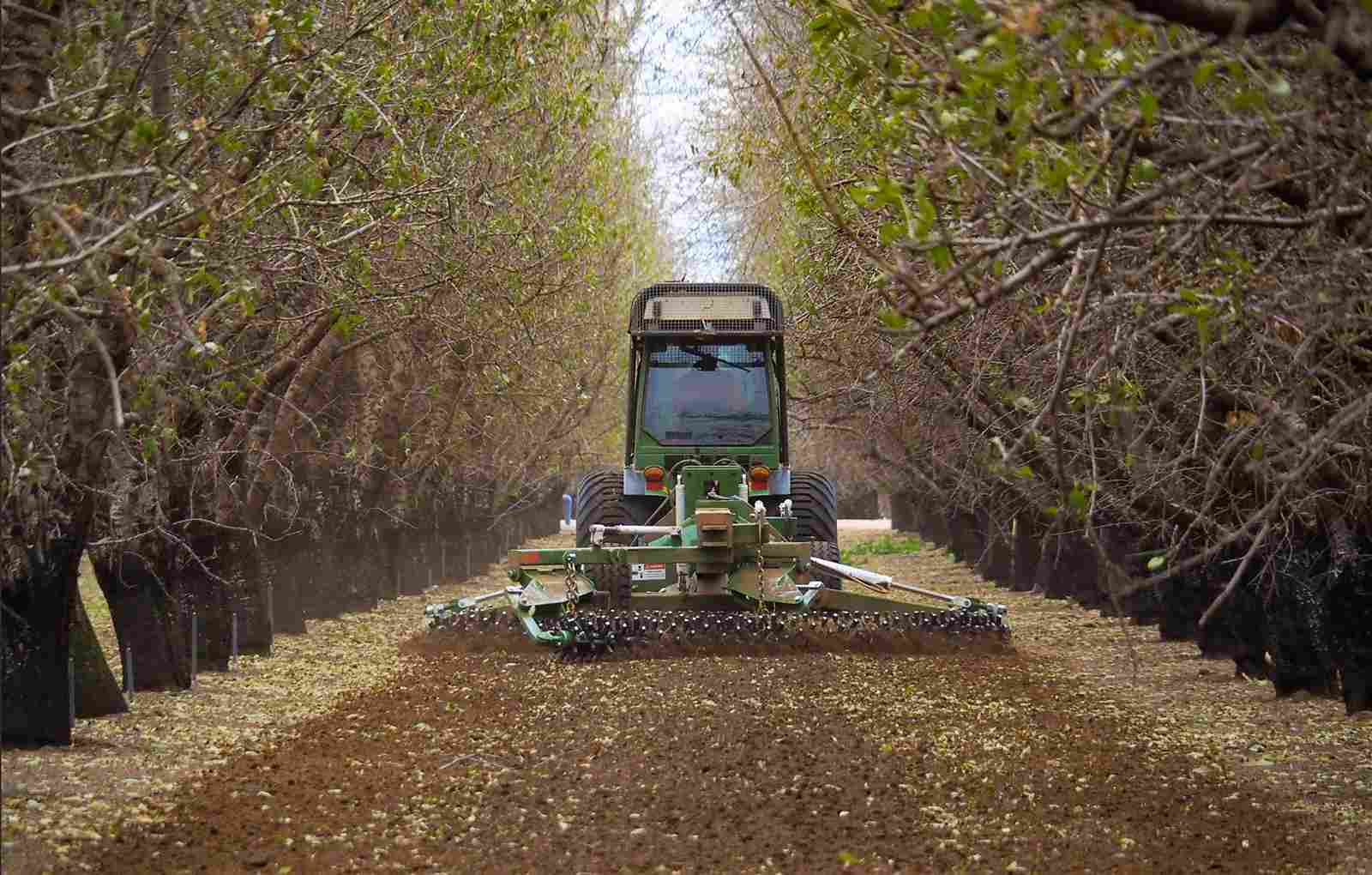 Kelly 1204: Best Way To Level Row Middles in Almond Orchards
