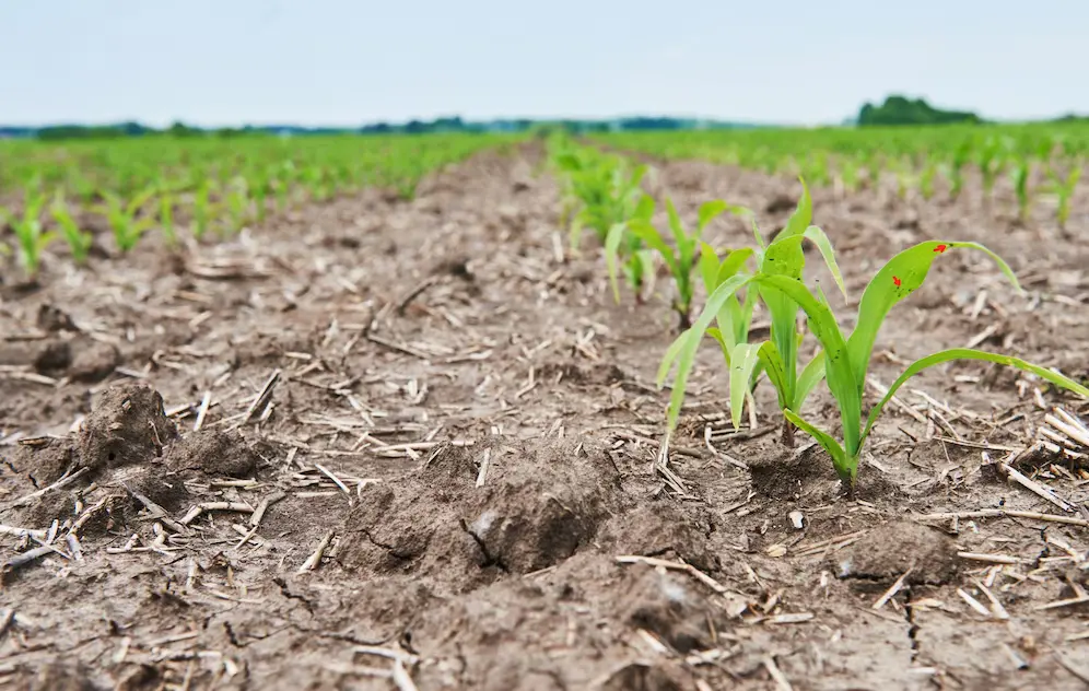 No-Till Agriculture: A Complete Overview