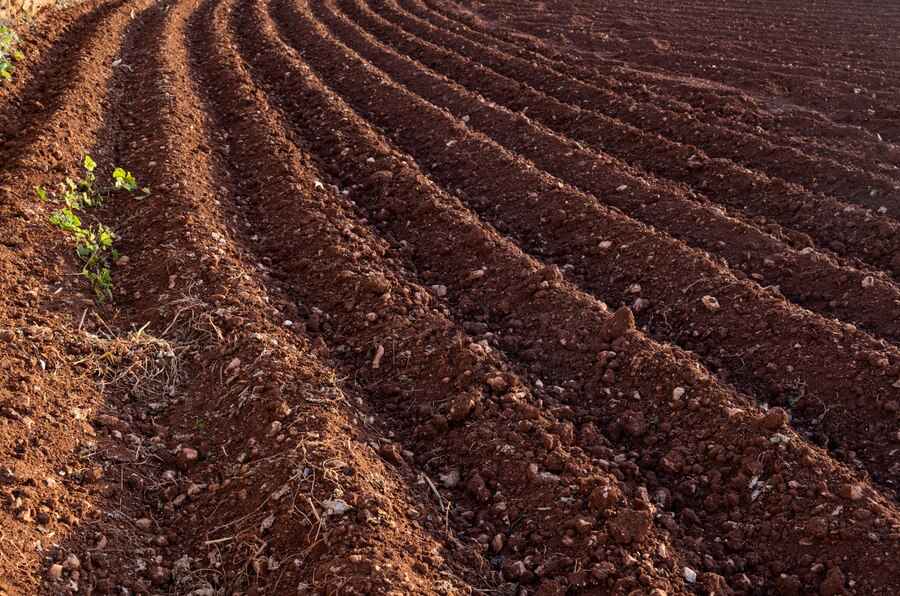 Strip Tillage Equipment: Everything Explained