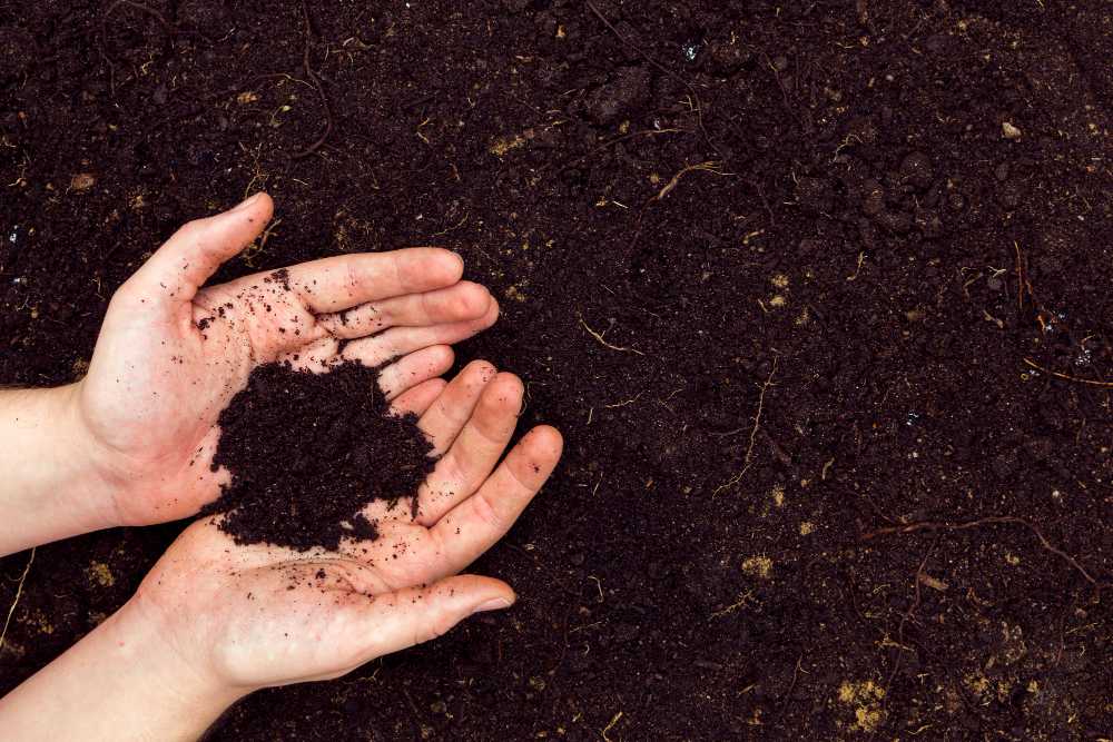 Importance of Topsoil - How to Apply it on Your Farmland?