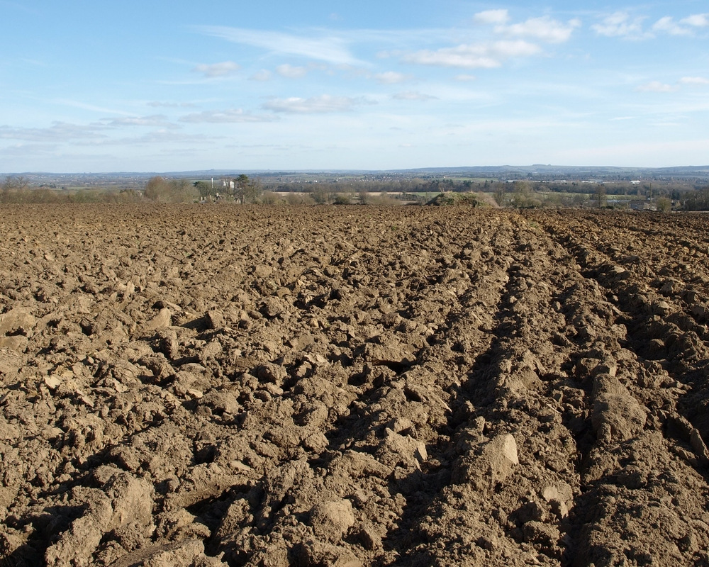 Why Adopt Conservation Tillage for Sustainable Farming?